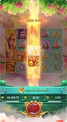 yyrr · Lgd Monkey Kg