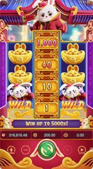 yyrr · Fortune Rabbit