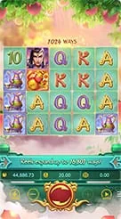 yyrr · Lgd Monkey Kg