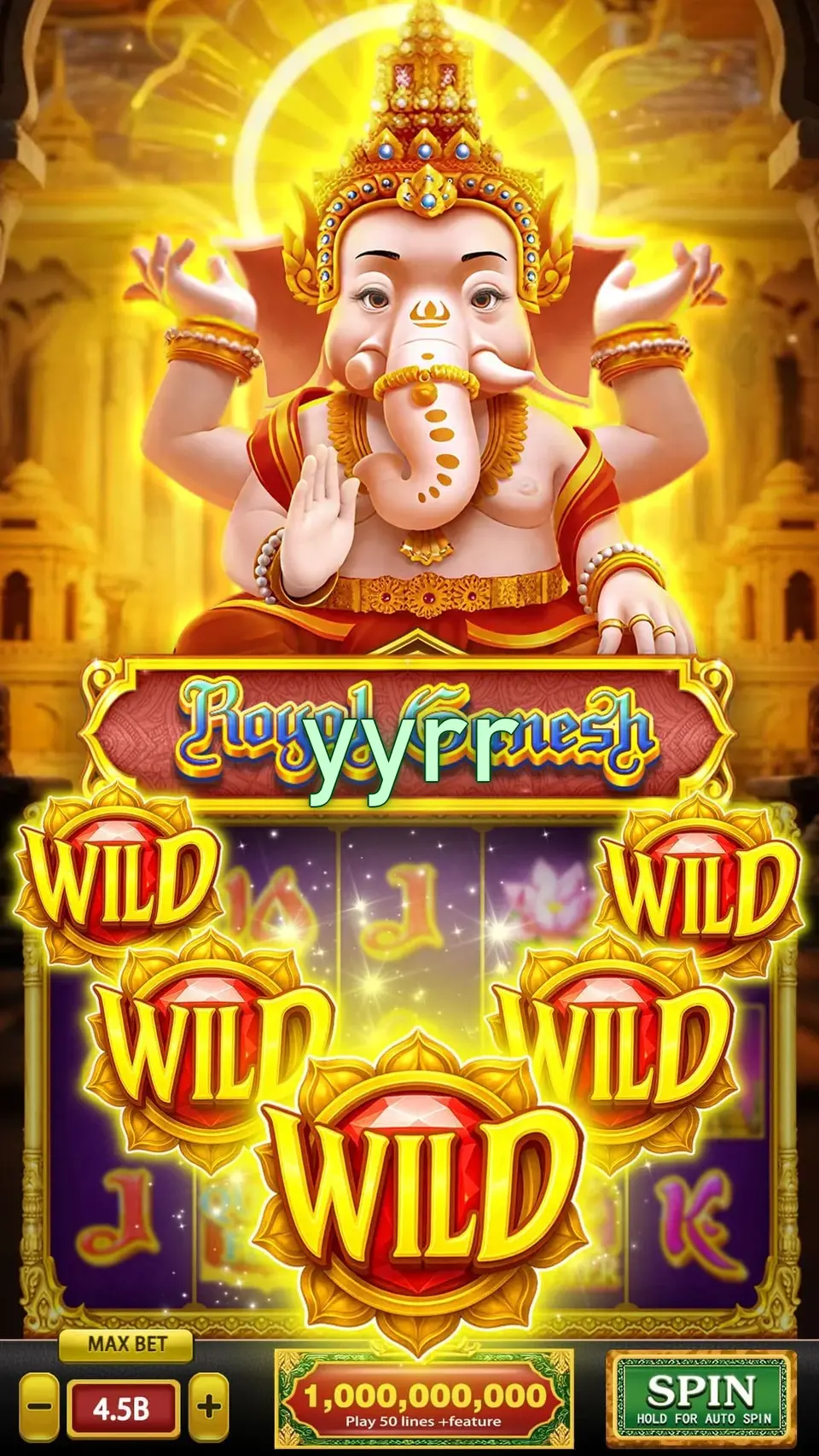 yyrr APK